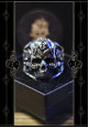 ANILLO CALAVERA